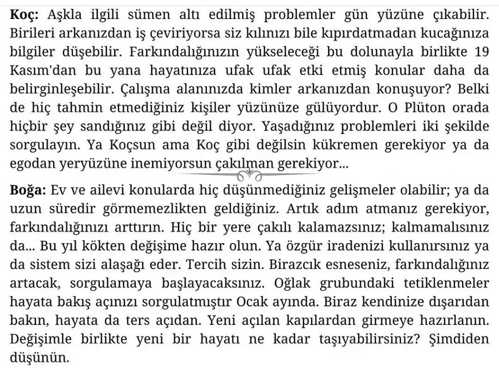 aslan 47 (2).webp