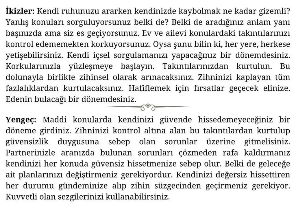 aslan 47 (3).webp