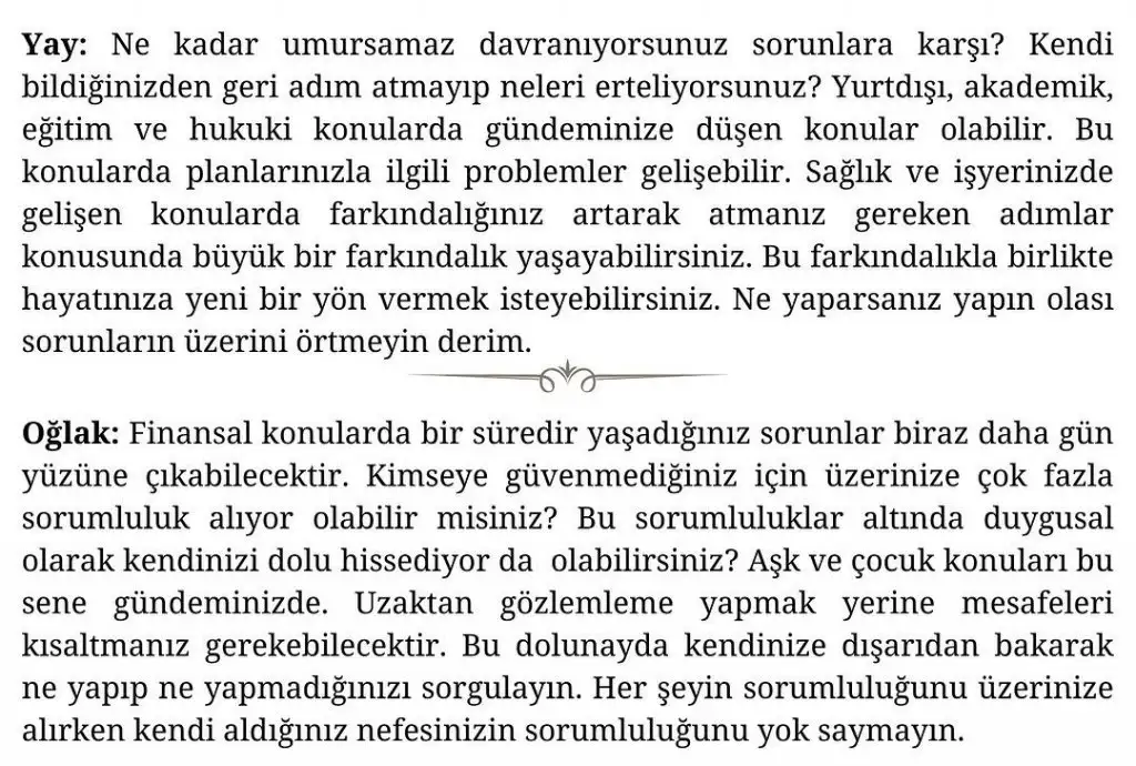 aslan 47 (6).webp