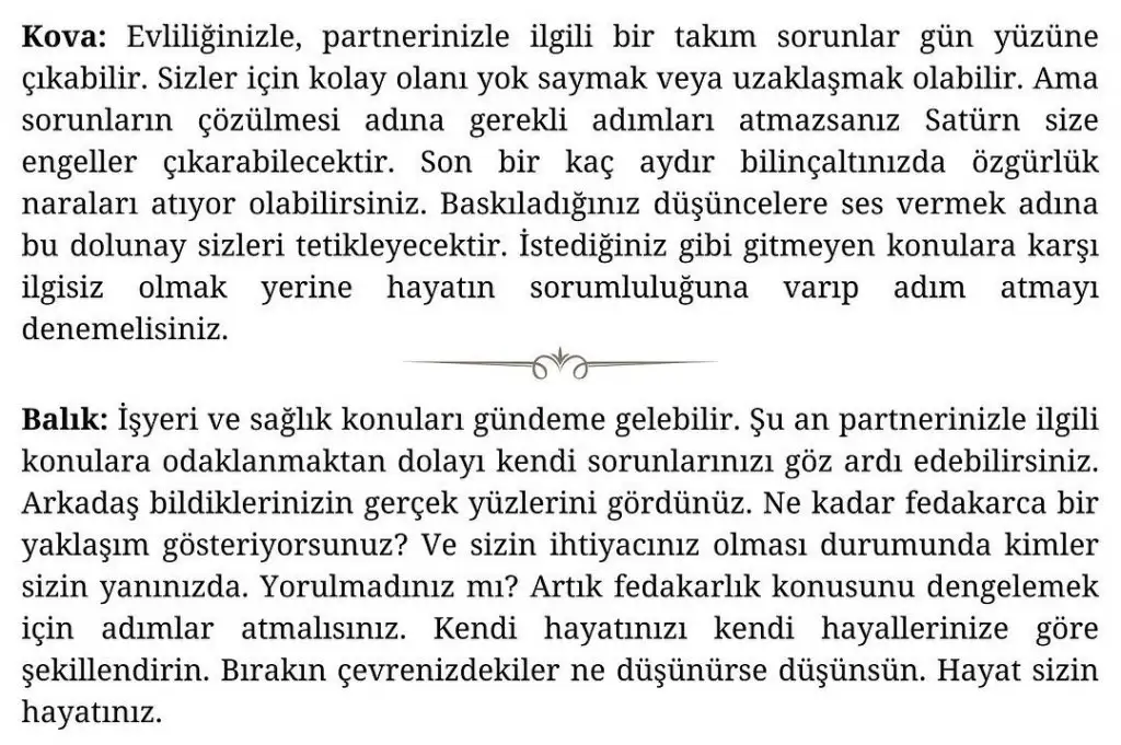 aslan 47 (7).webp