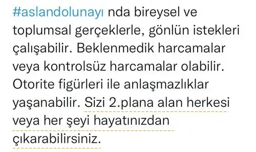 aslan 48 (4).webp