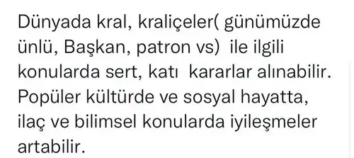 aslan 48 (6).webp