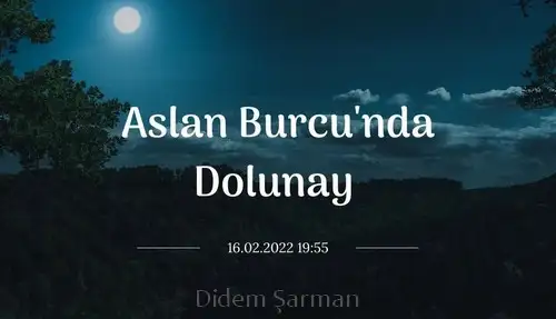 aslan 49 (1).webp