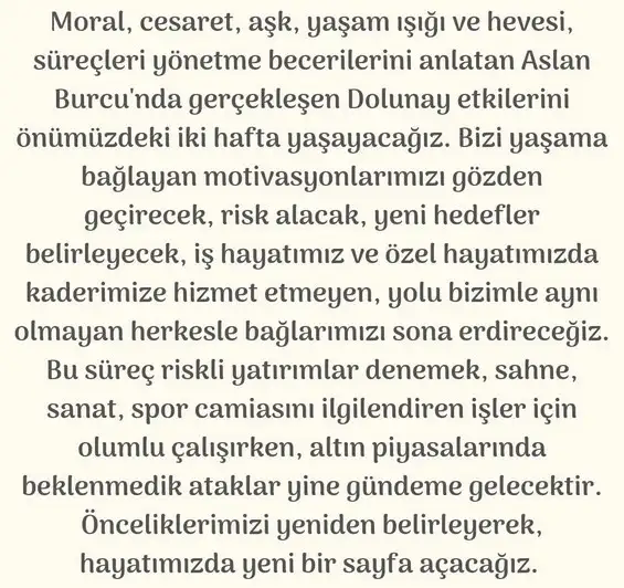aslan 49 (2).webp