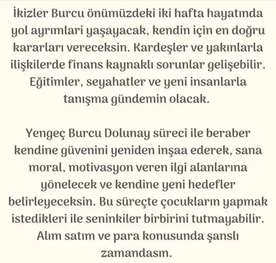 aslan 49 (4).webp