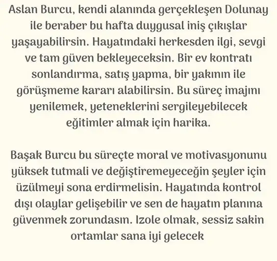 aslan 49 (5).webp