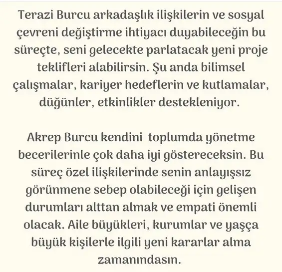 aslan 49 (8).webp