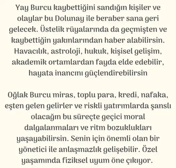 aslan 49 (9).webp