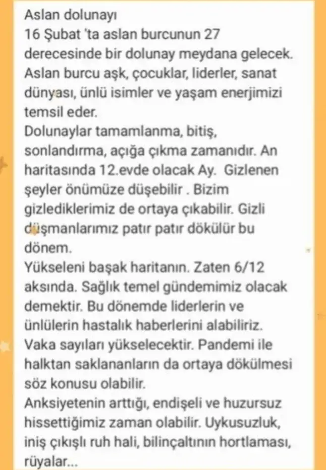 aslan 5 (2).webp