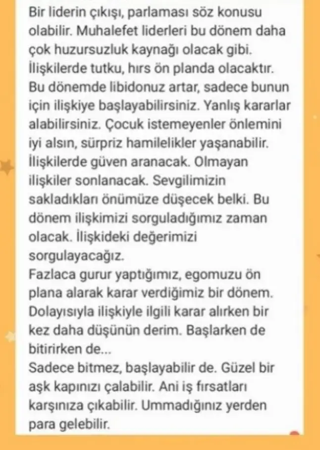 aslan 5 (4).webp