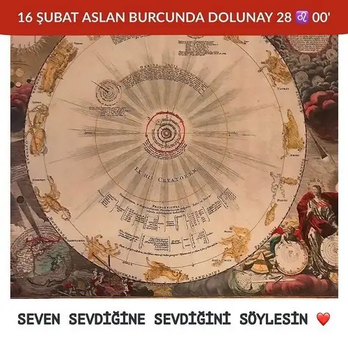 aslan 50 (1).webp
