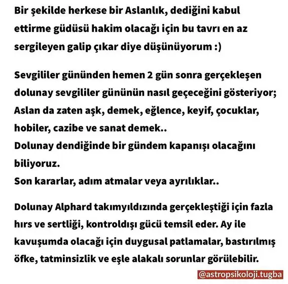 aslan 50 (2).webp