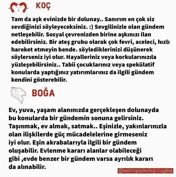aslan 50 (4).webp