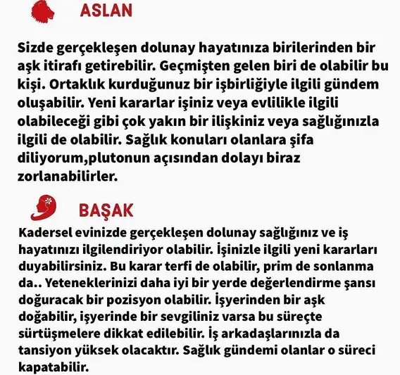 aslan 50 (6).webp