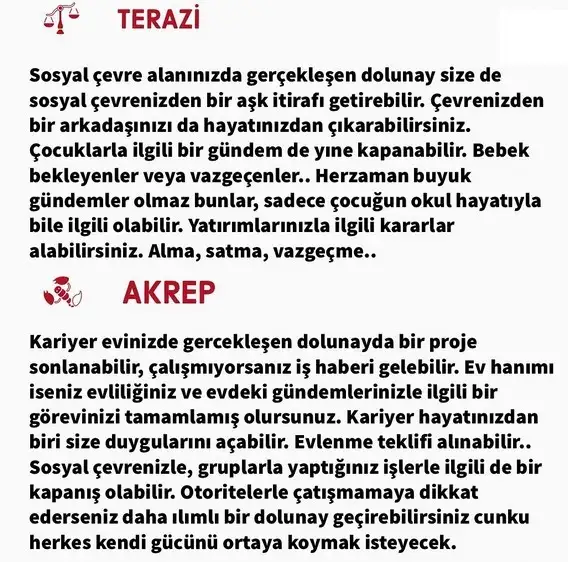 aslan 50 (7).webp