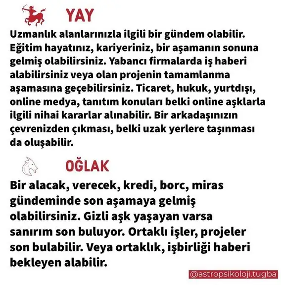 aslan 50 (8).webp