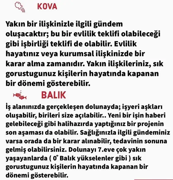 aslan 50 (9).webp