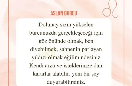 aslan 6 (10).webp