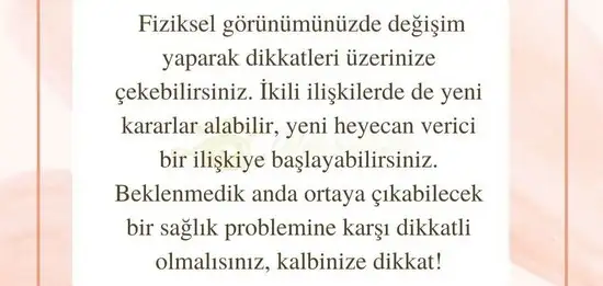 aslan 6 (11).webp