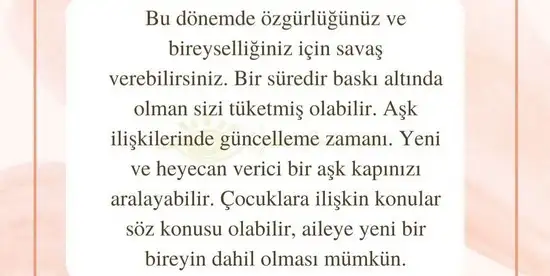 aslan 6 (15).webp