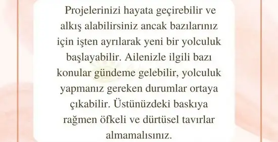 aslan 6 (17).webp