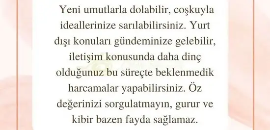 aslan 6 (19).webp