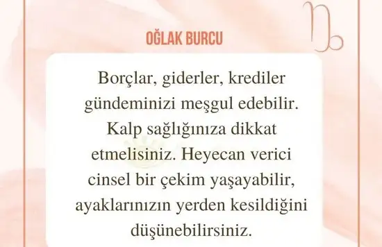 aslan 6 (20).webp