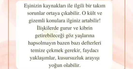 aslan 6 (21).webp