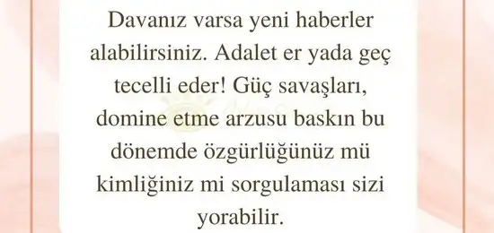 aslan 6 (23).webp