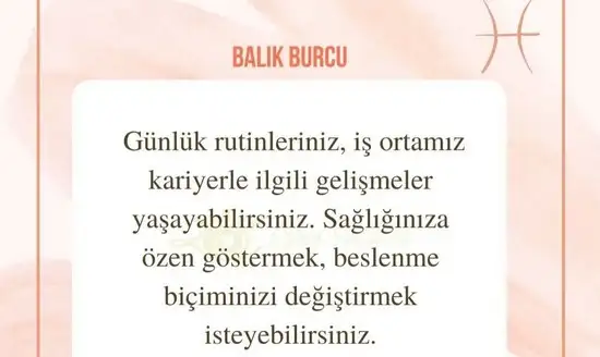 aslan 6 (24).webp