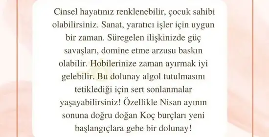 aslan 6 (3).webp