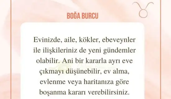 aslan 6 (4).webp