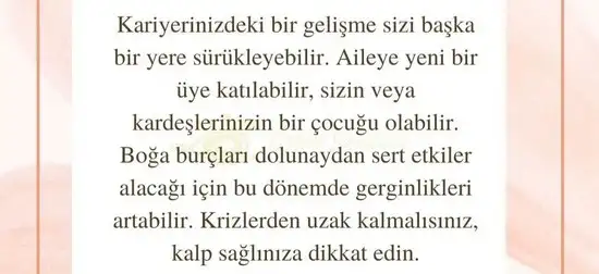 aslan 6 (5).webp