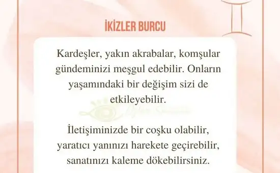 aslan 6 (6).webp