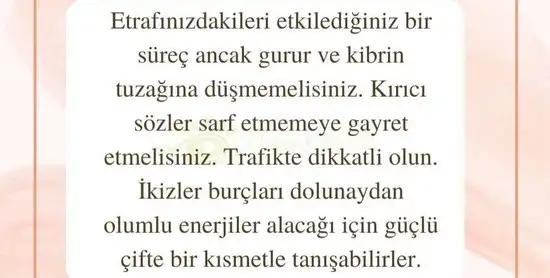 aslan 6 (7).webp