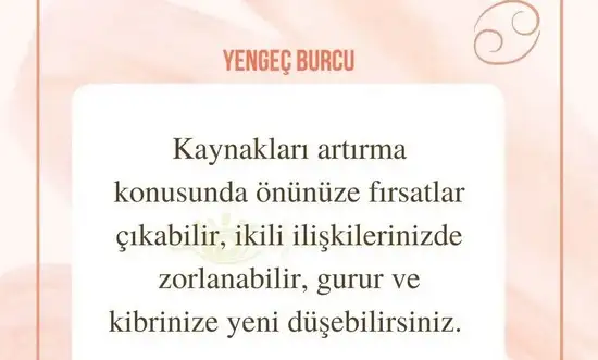 aslan 6 (8).webp