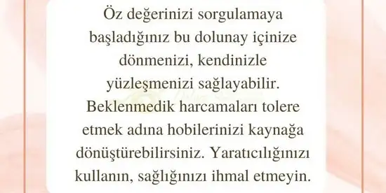 aslan 6 (9).webp