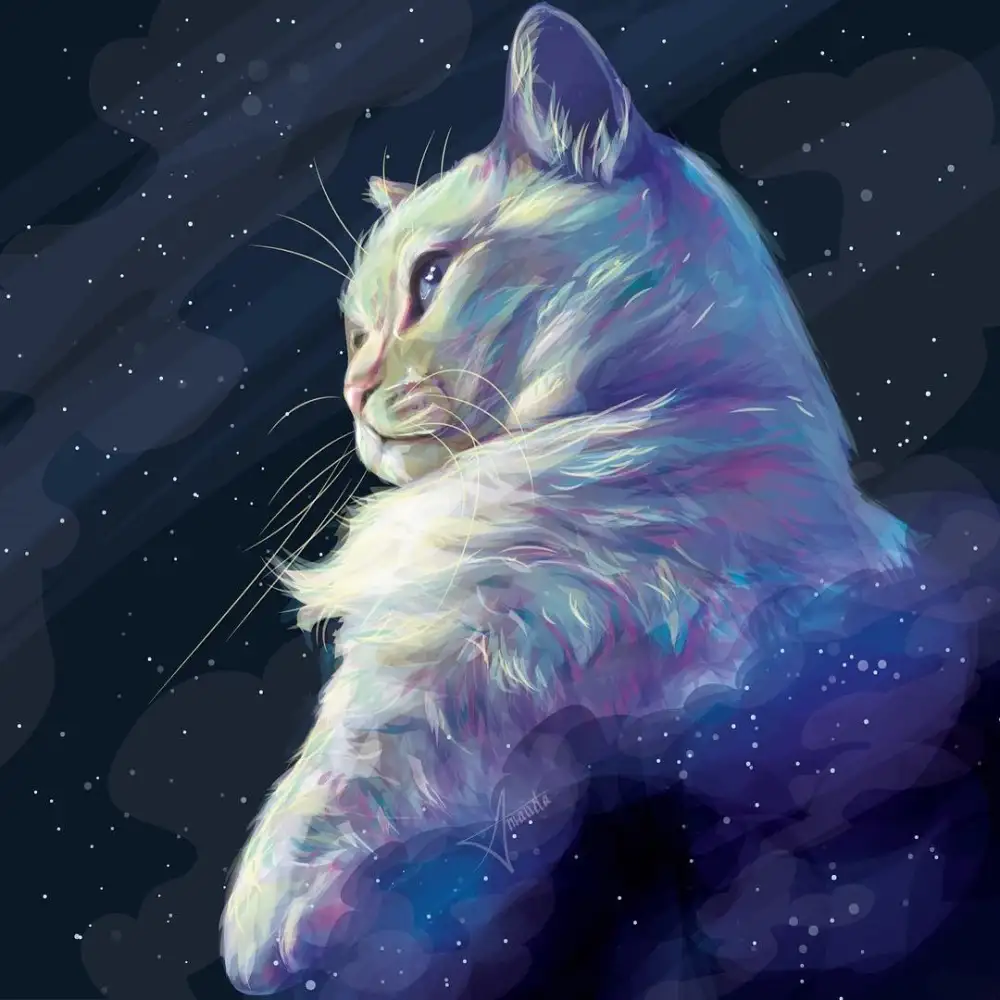 aslan (6).webp