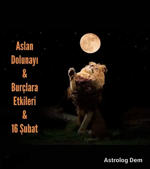 aslan 7 (1).webp