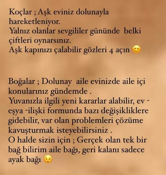 aslan 7 (3).webp