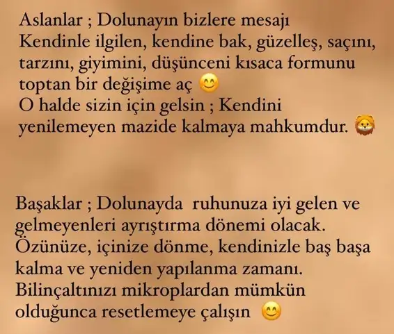aslan 7 (5).webp