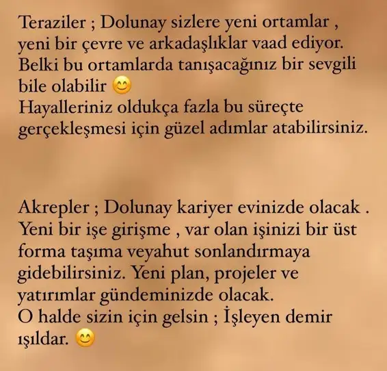 aslan 7 (6).webp