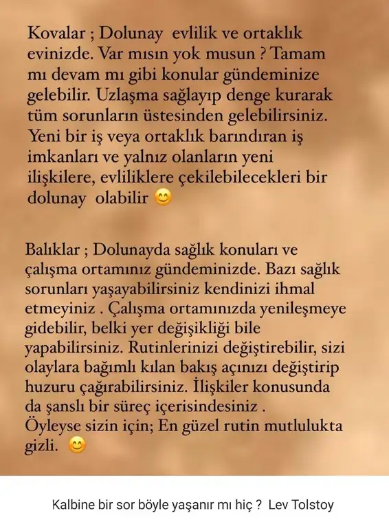 aslan 7 (8).webp
