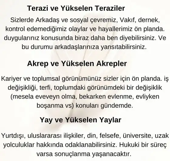 aslan 8 (4).webp