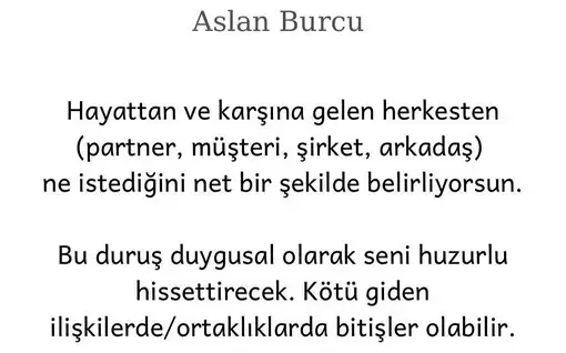 aslan 9 (6).webp