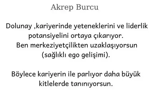 aslan 9 (9).webp