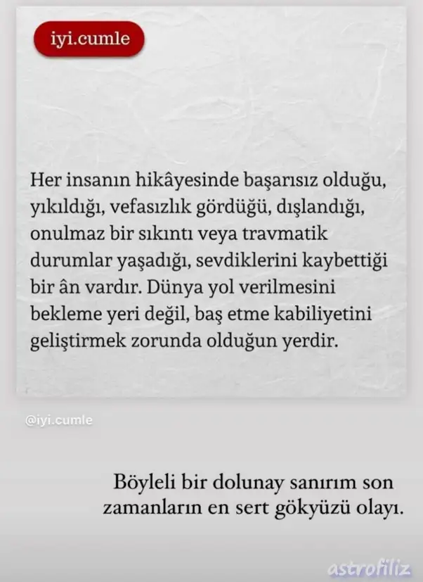 aslan 98.webp
