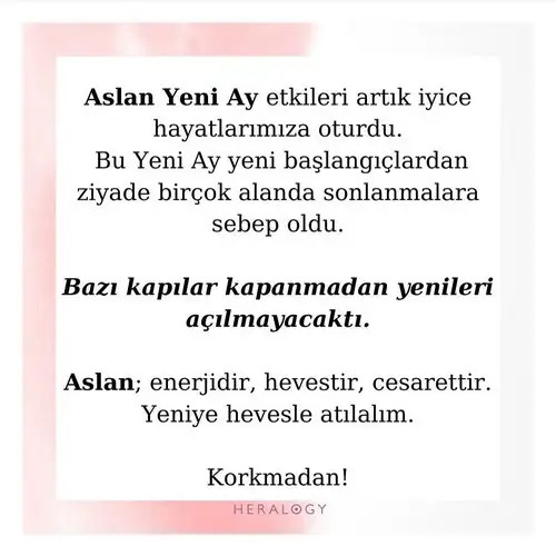 aslan.webp