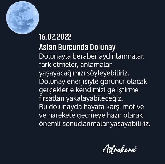 aslan.webp