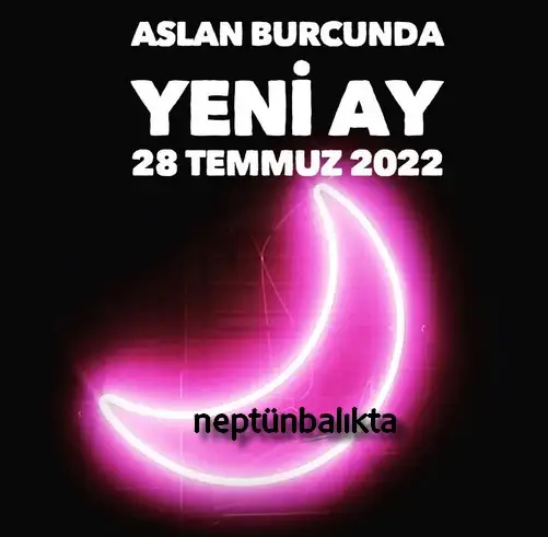 aslan yeniay1 (1).webp